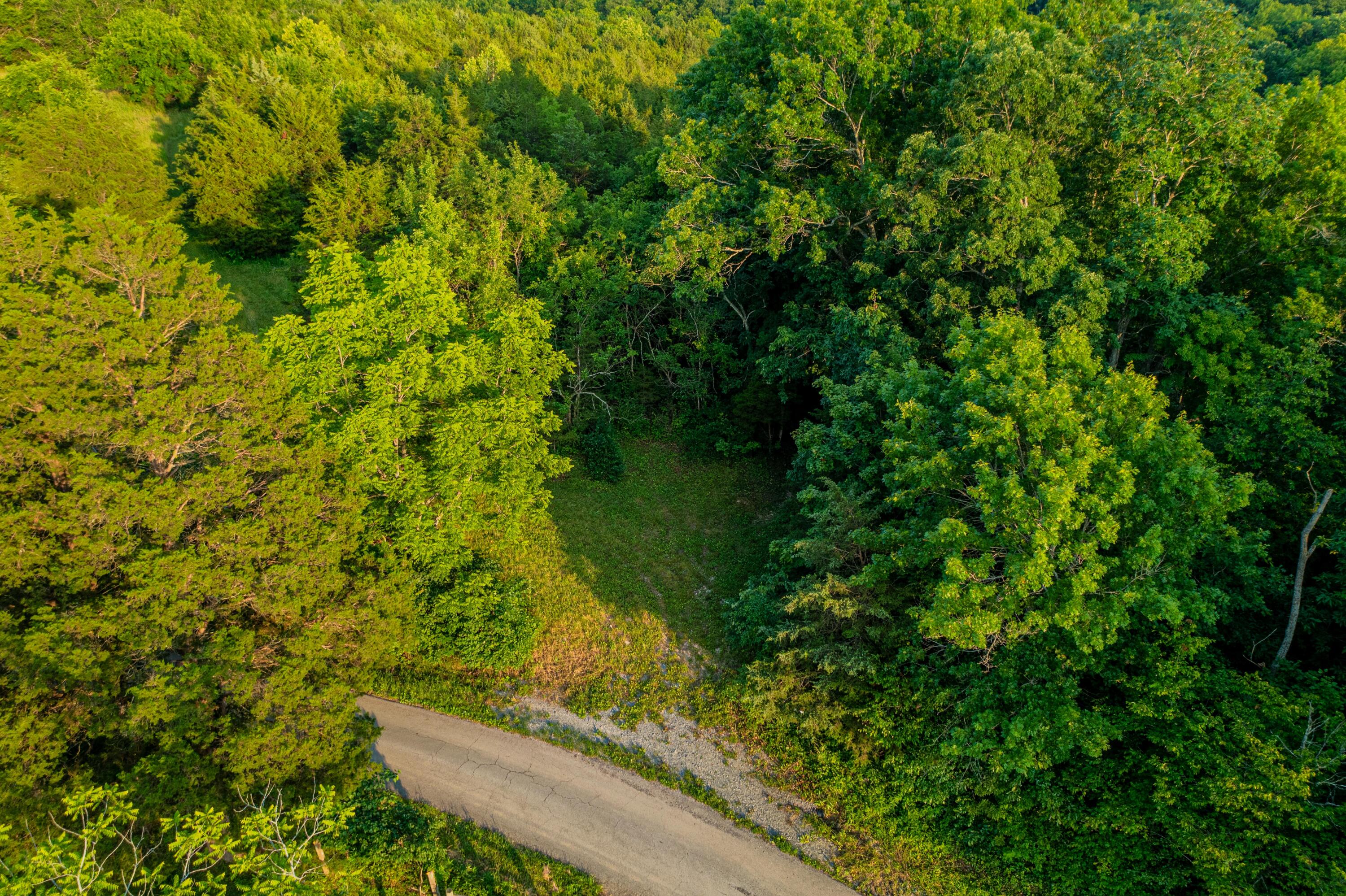 651 Fairview Road Salvisa, KY 40372 - Photo 8 of 40 651 Fairview Rd #4