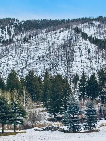 $2,600,000 | 106 Whipsaw Lane, Blaine County, ID 83340