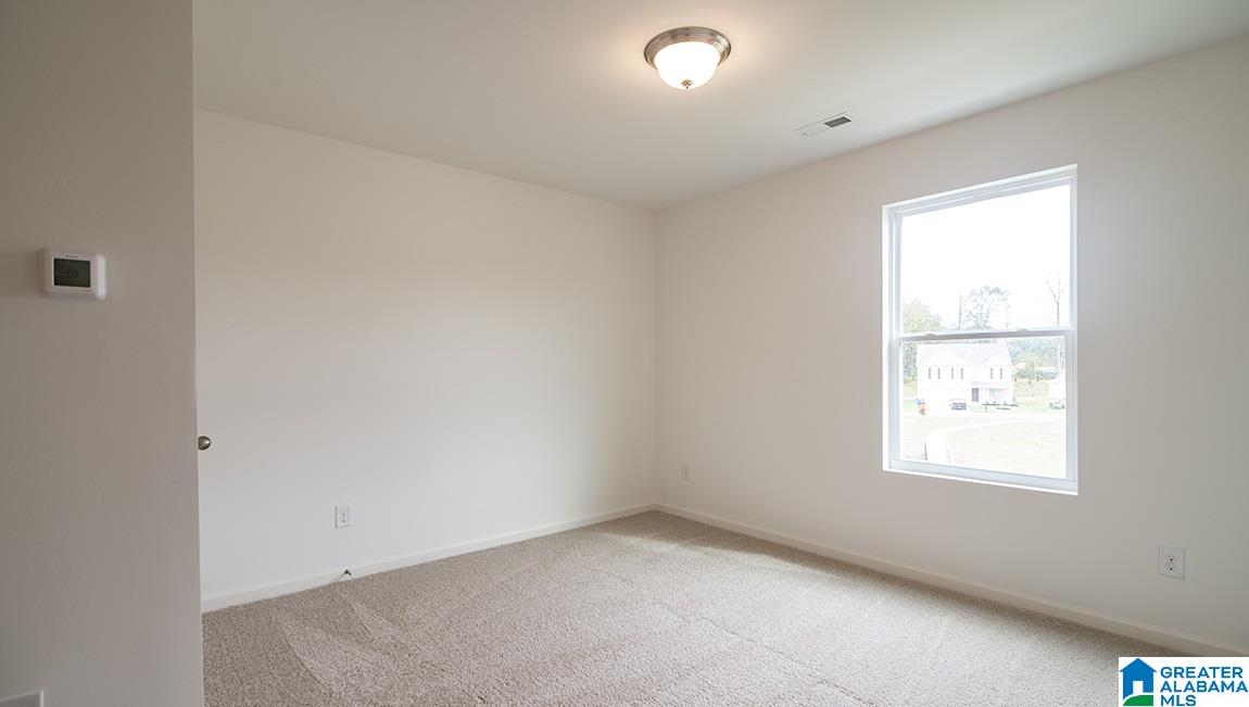1009 Flyway View Lane Alabaster, AL 35007 - Photo 14 of 16