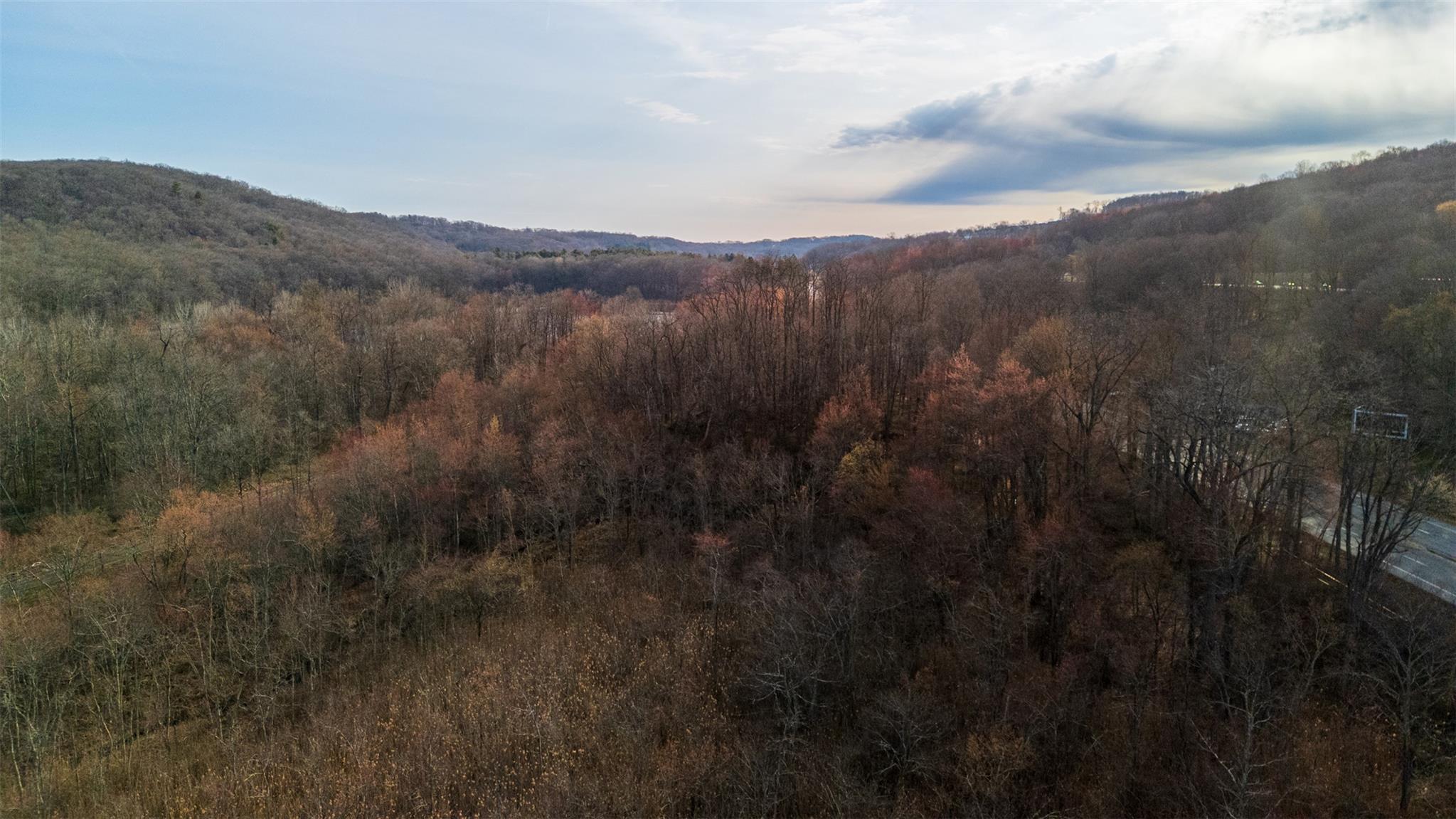 3918 Danbury Road Brewster, NY 10509 - Photo 3 of 26 View of mountain feature featuring a view of trees