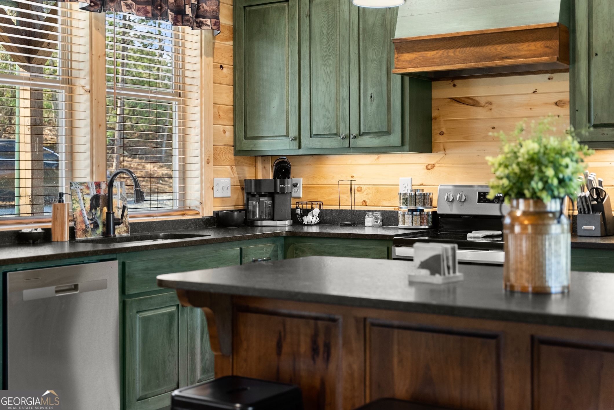 473 Monroe Ridge Road Sautee Nacoochee, GA 30571 - Photo 5 of 63 a kitchen with a sink and a potted plant