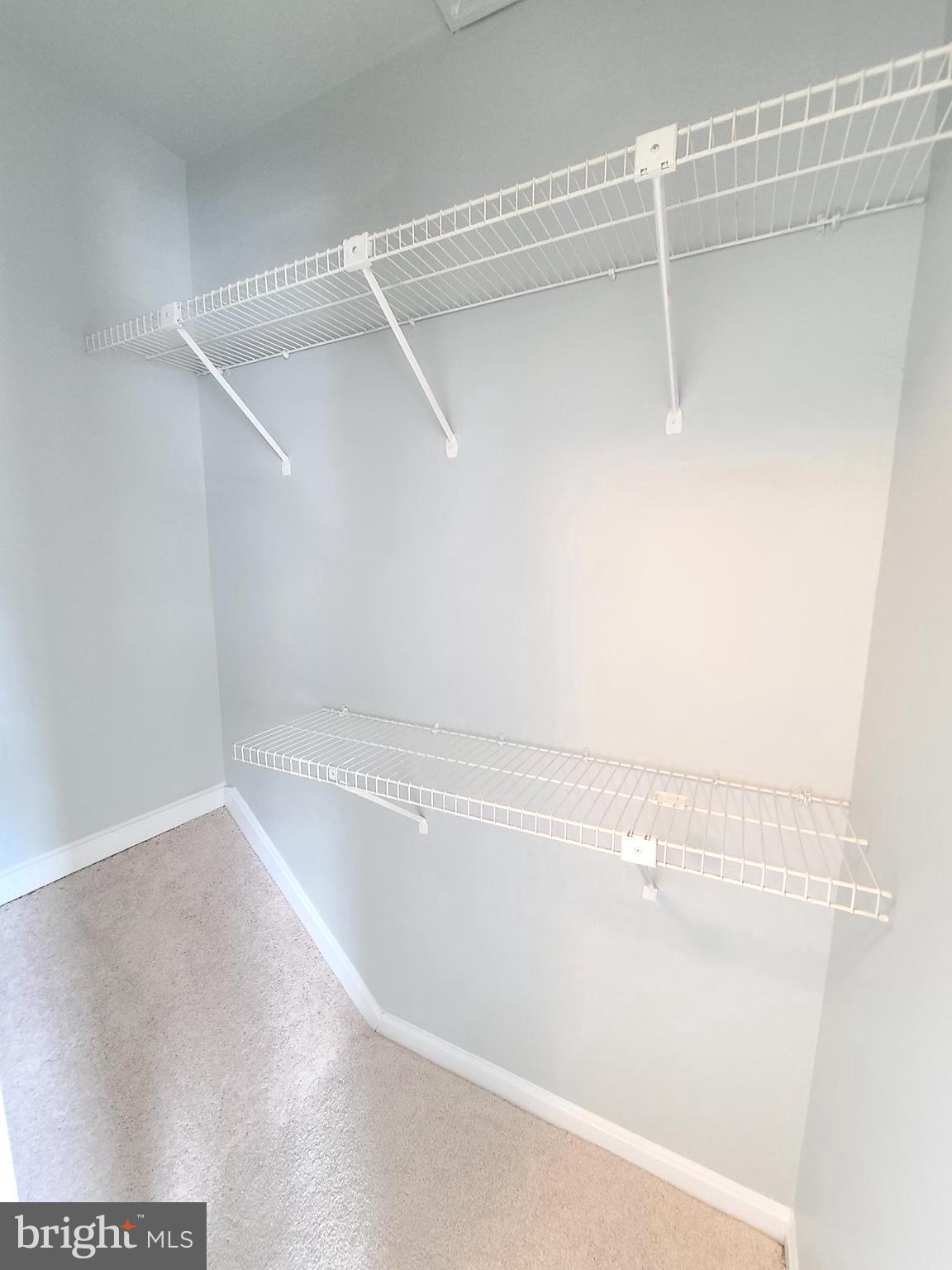 6644 Green Ash Drive Springfield, VA 22152 - Photo 24 of 42 a view of a room with racks on the wall