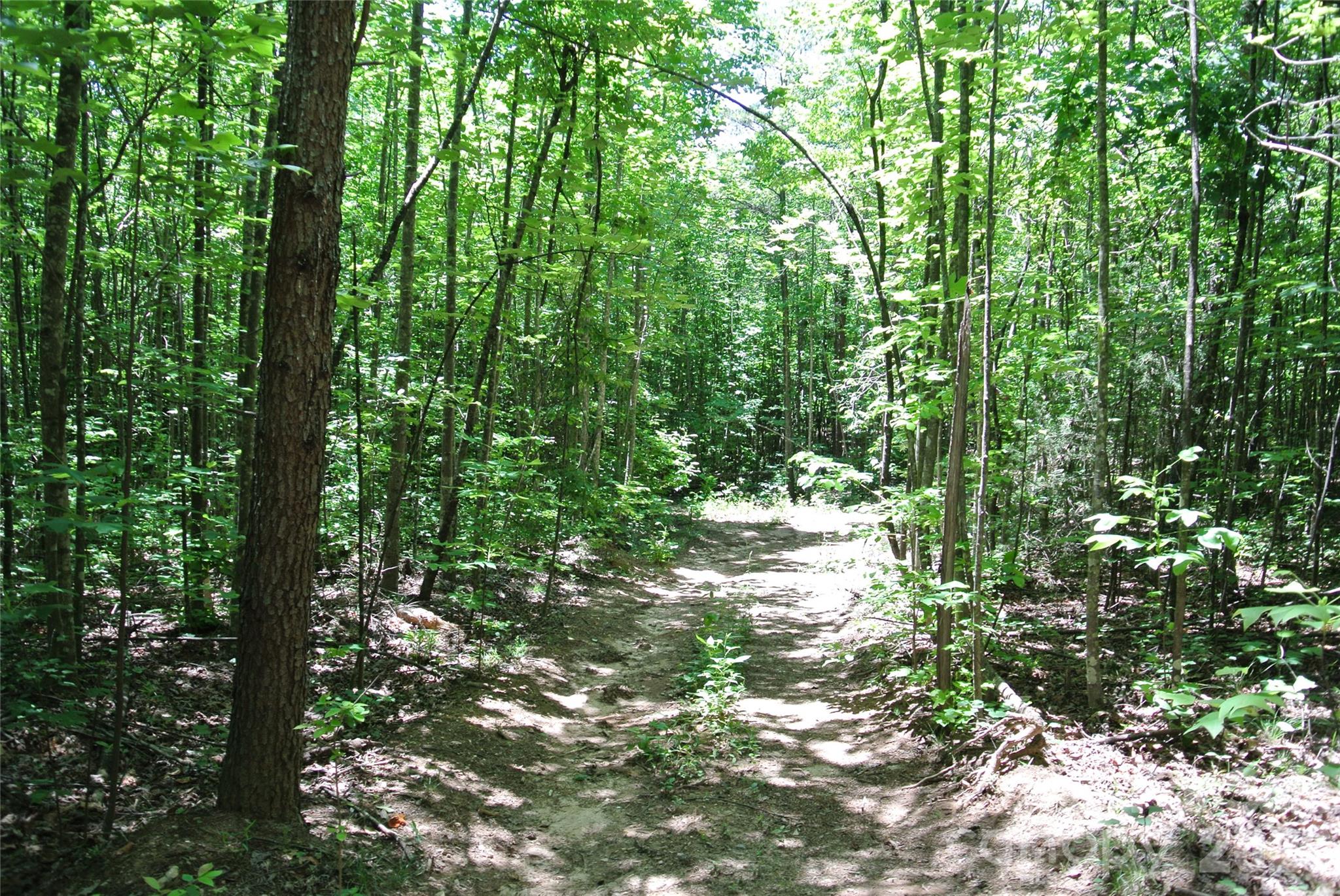 779 Thermal City Road Union Mills, NC 28167 - Photo 31 of 48