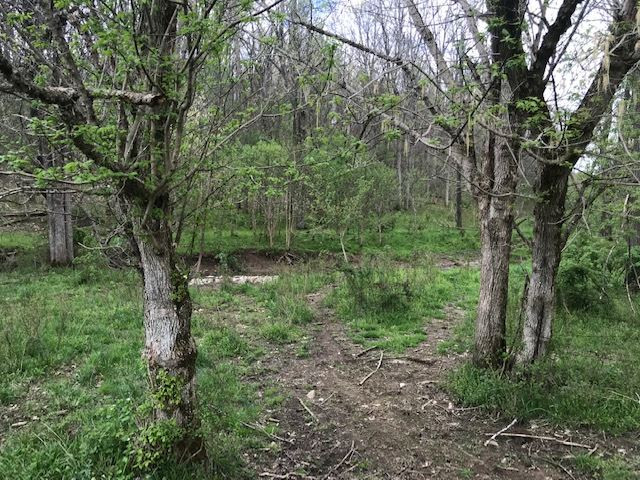 Menzie Bottoms Road Butler, KY 41006 - Photo 6 of 39 Gallery Image 6