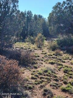 0 West Young Road Prescott, AZ 86305 - Photo 10 of 12 Primary