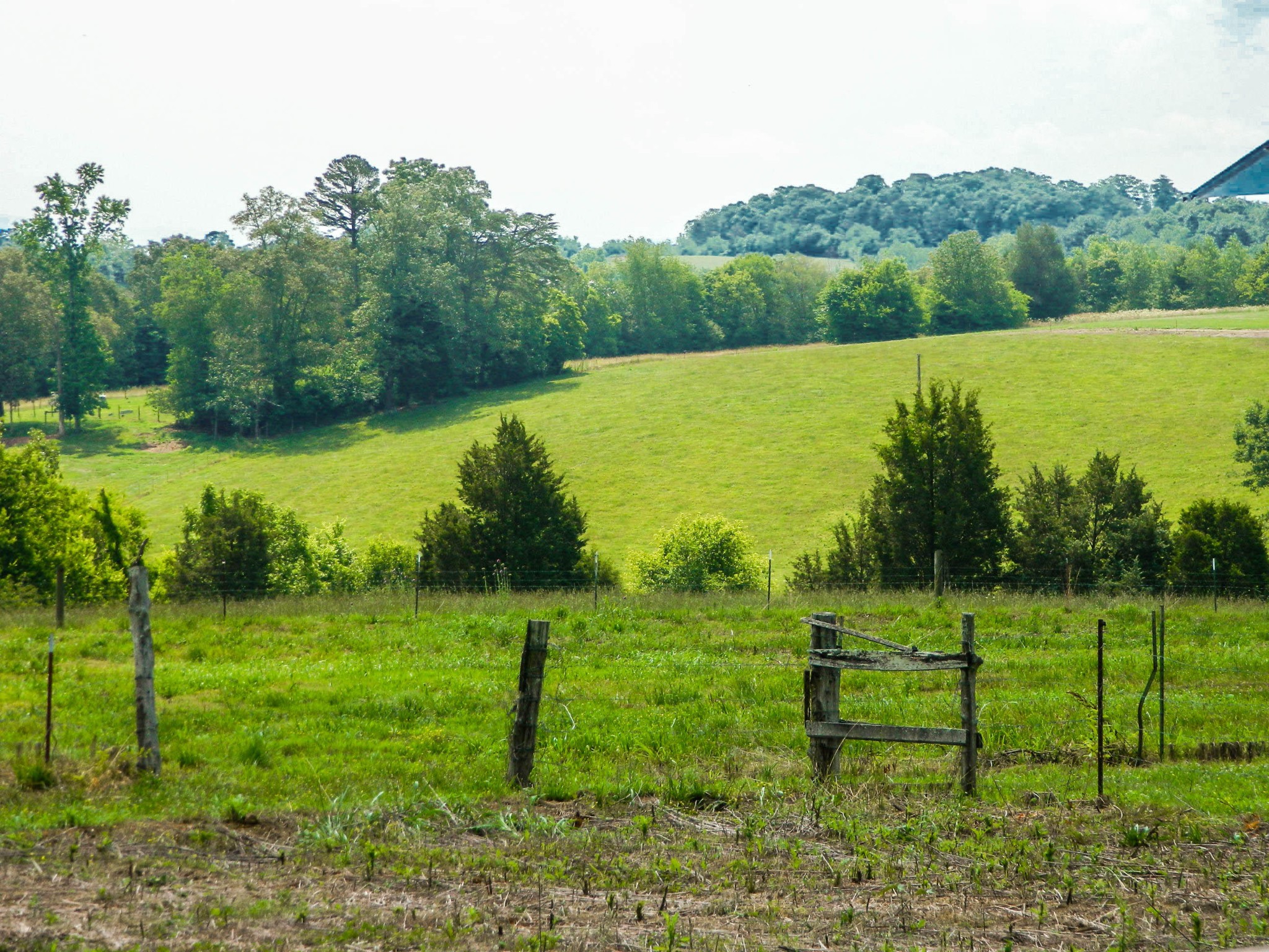 4511 Watkins Road East Loudon, TN 37774 - Photo 17 of 18