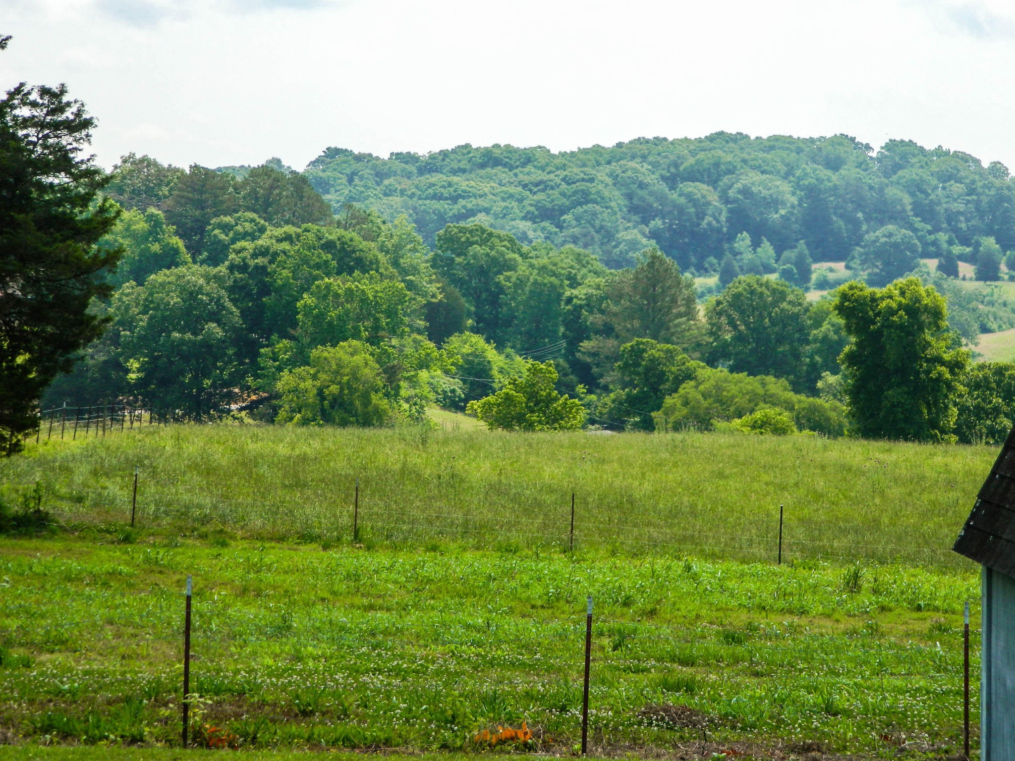 4511 Watkins Road East Loudon, TN 37774 - Photo 18 of 18