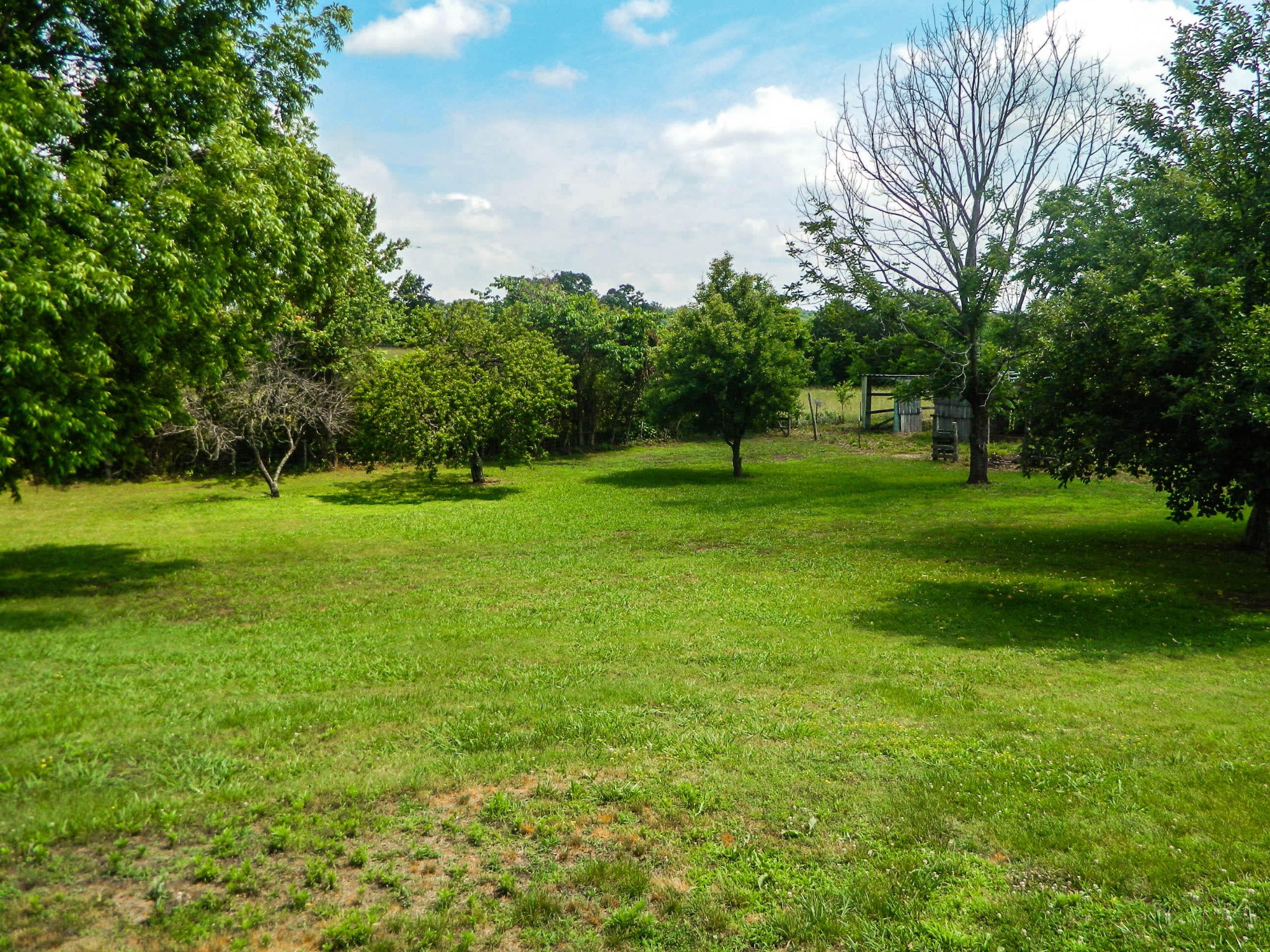4511 Watkins Road East Loudon, TN 37774 - Photo 2 of 18