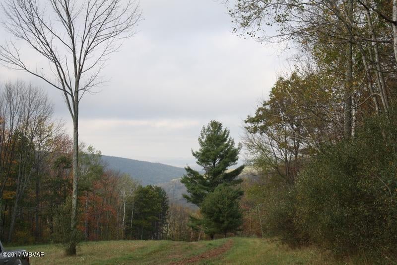548 Tower Hill Road Tioga, PA 16946 - Photo 1 of 69 IMG_1543