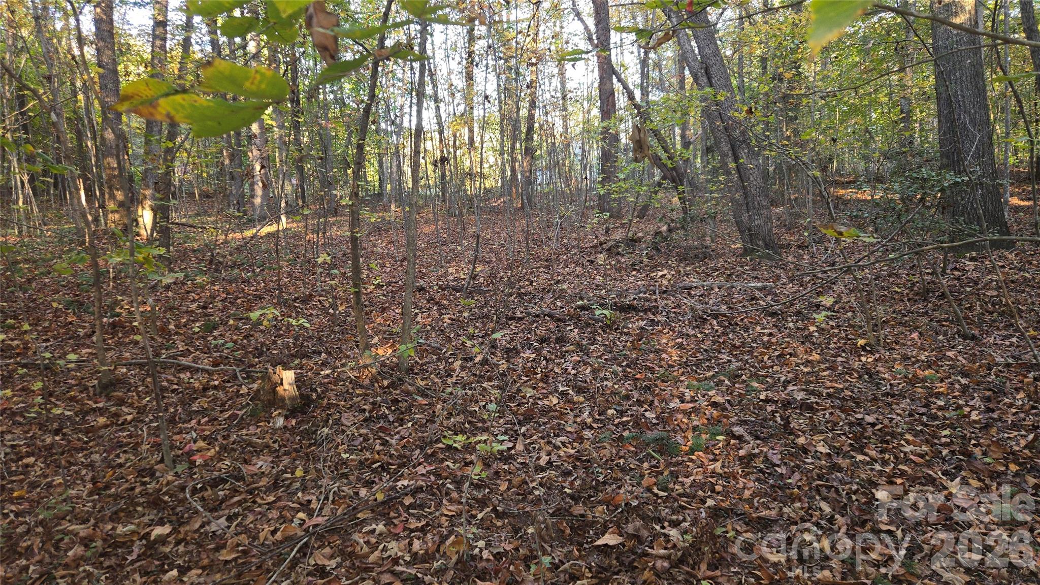 663 Landrum Road Columbus, NC 28722 - Photo 32 of 42 Gallery Image 32
