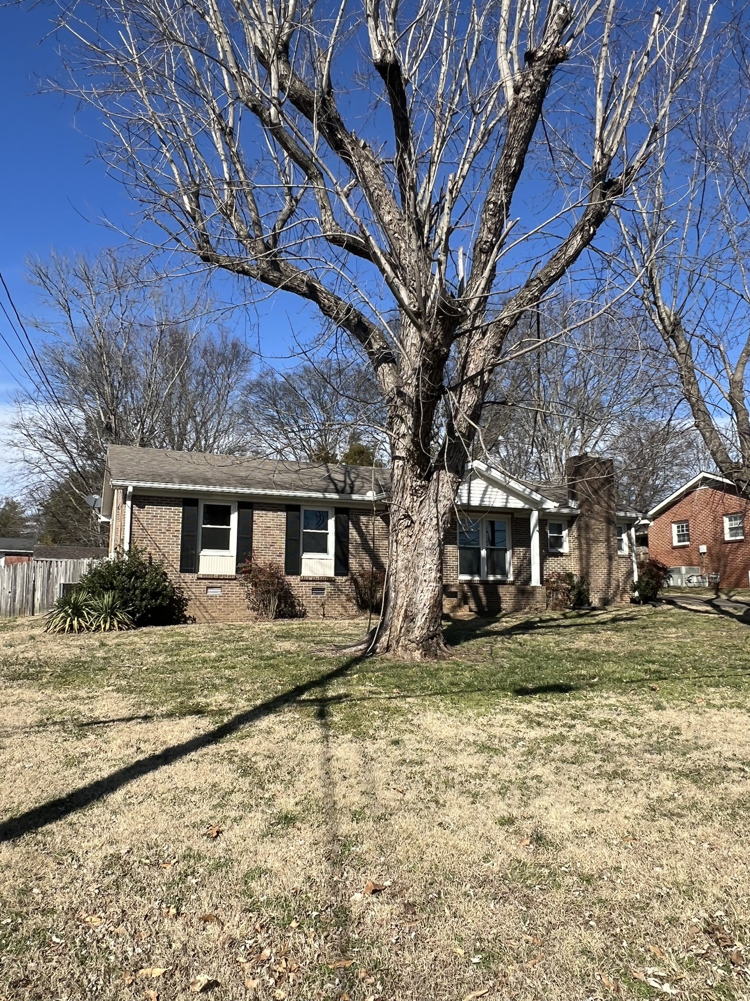 442 Rodney Street Gallatin, TN 37066 - Photo 14 of 21 a view of a yard with a house