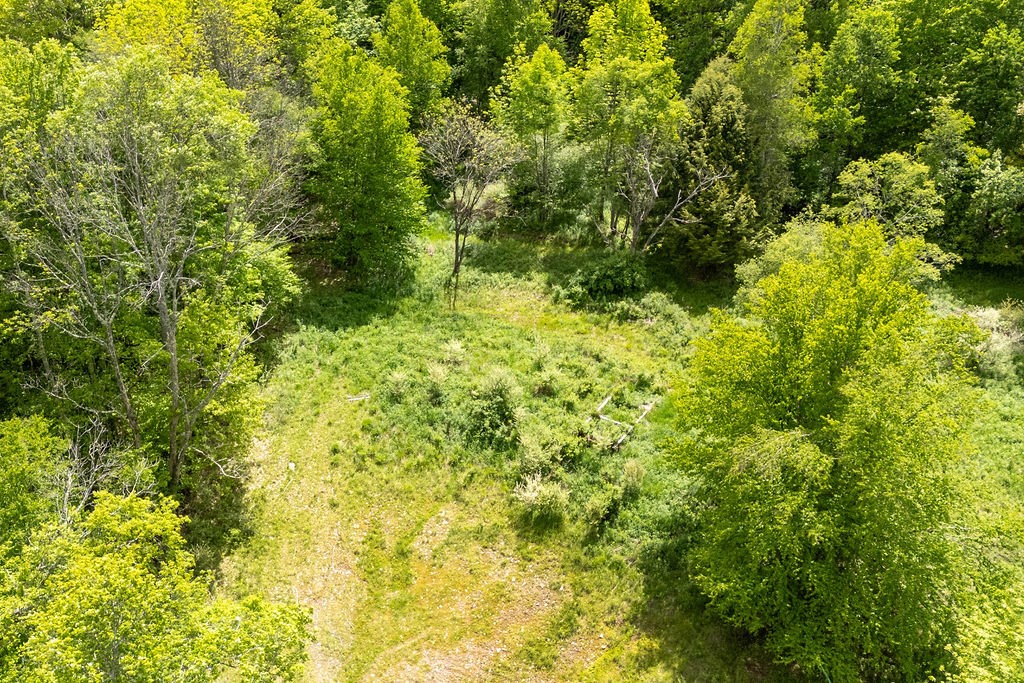 1361 Weaver Hollow Road Andes, NY 12455 - Photo 14 of 23