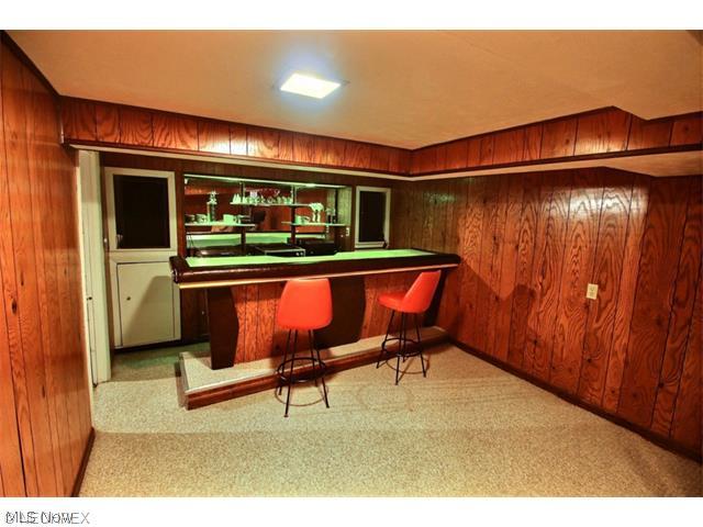 16015 Fernway Road Cleveland, OH 44120 - Photo 15 of 15 Lower level built-in wet bar area. Great storage, too.
