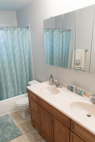 225 Huntingwood Road Matteson, IL 60443 - Photo 11 of 14 a bathroom with a sink a toilet and a mirror