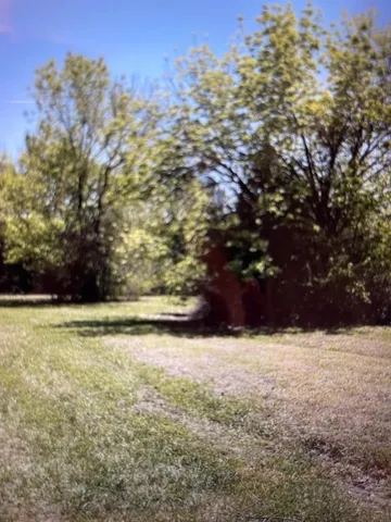 a view of ocean with large trees