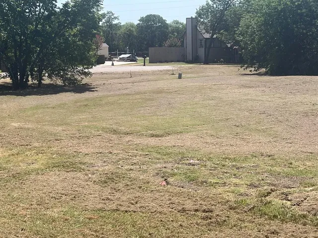 a view of lot of trees