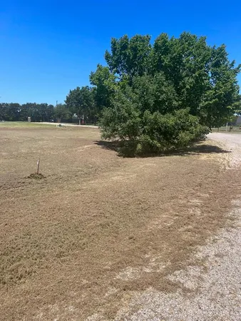 a view of yard with trees