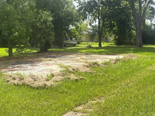 a view of a yard with a tree