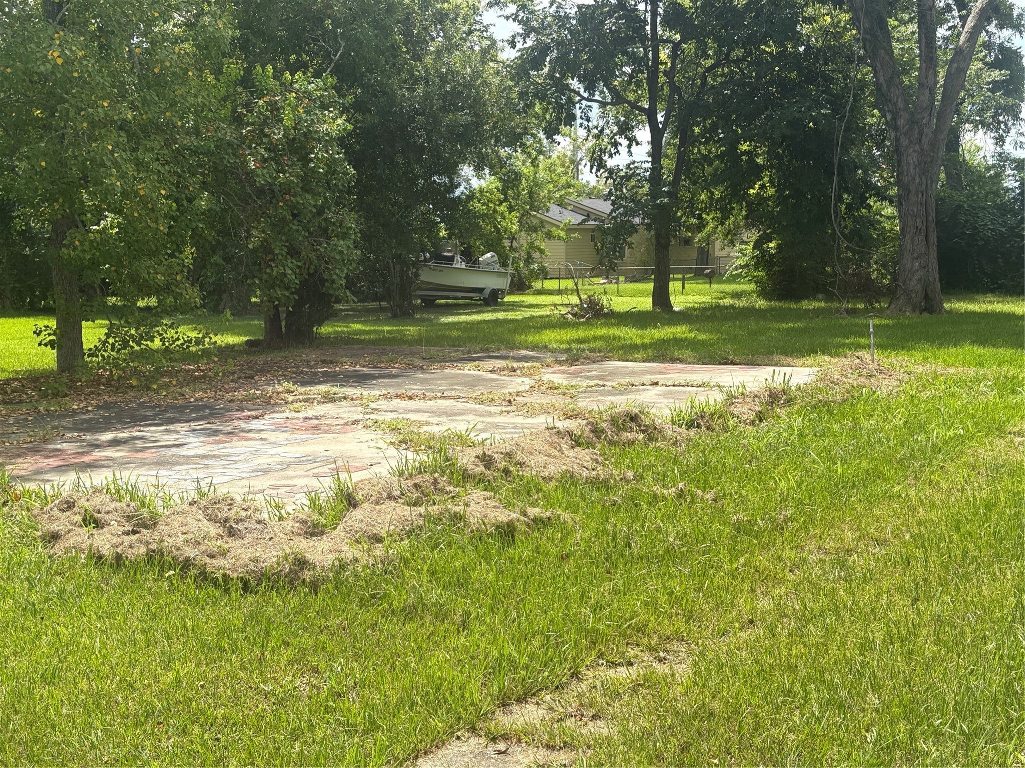 2031 Delaware Street Beaumont, TX 77703 - Photo 4 of 8 a view of a yard with a tree