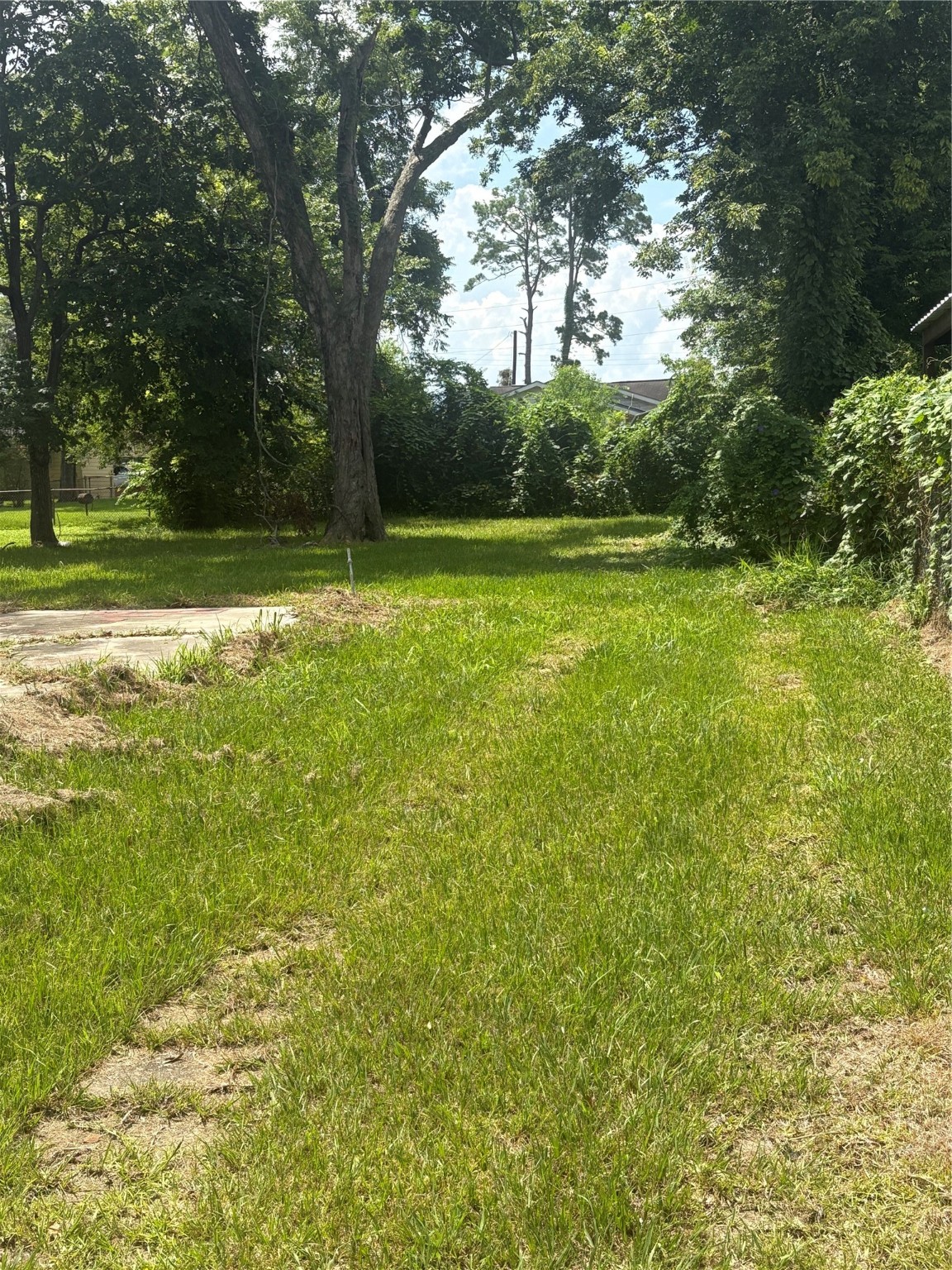 2031 Delaware Street Beaumont, TX 77703 - Photo 5 of 8 a view of outdoor space with deck and yard