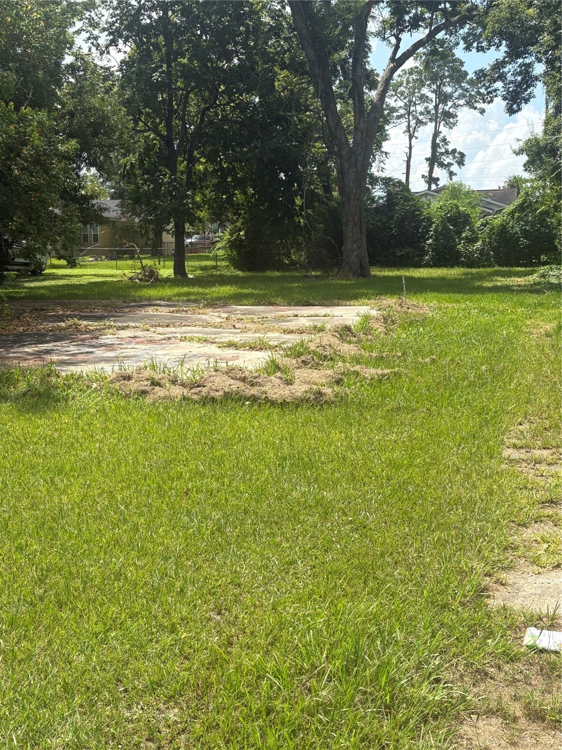 2031 Delaware Street Beaumont, TX 77703 - Photo 6 of 8 a view of a golf course with a trees