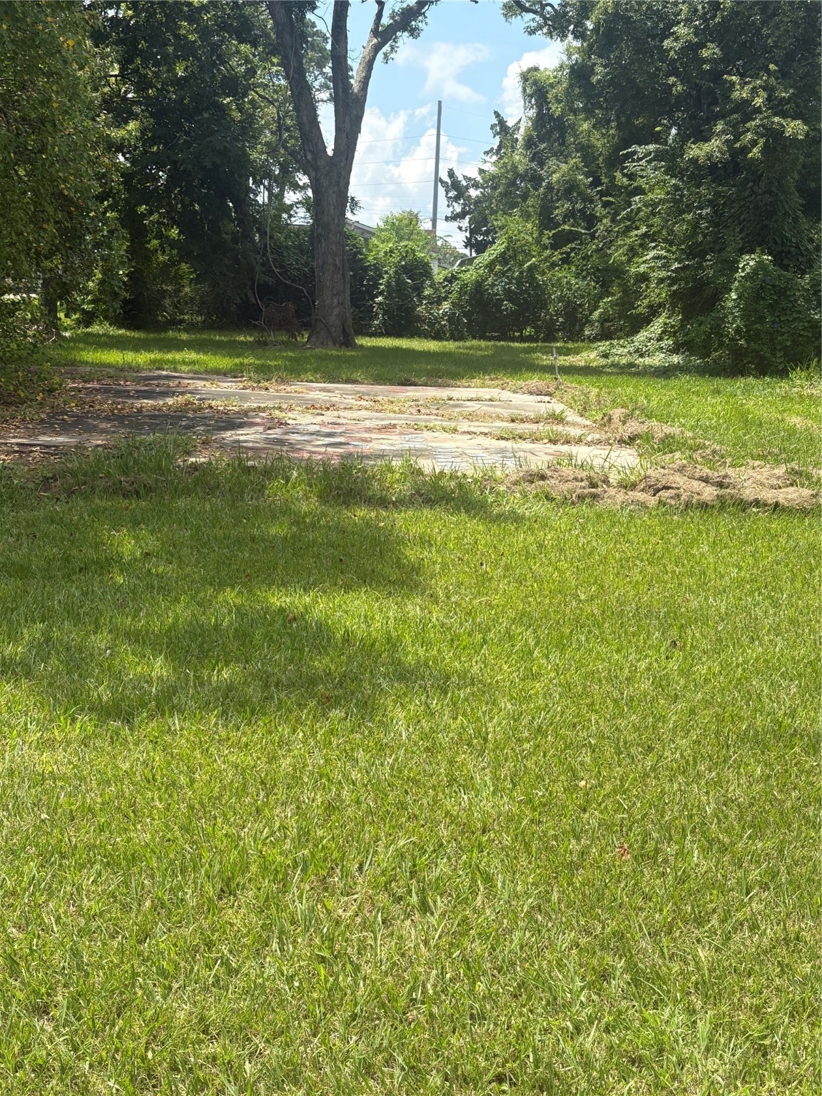 2031 Delaware Street Beaumont, TX 77703 - Photo 7 of 8 a view of ocean with trees