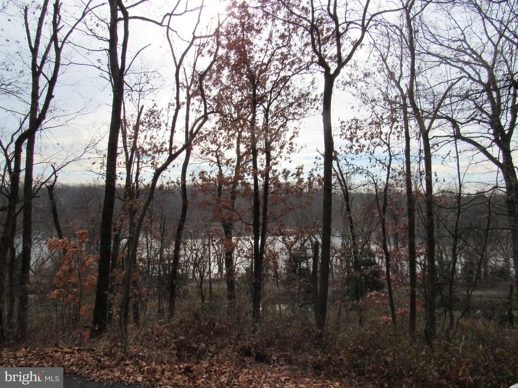 1556 River Road Titusville, NJ 08560 - Photo 18 of 38 Winter View of Delaware river