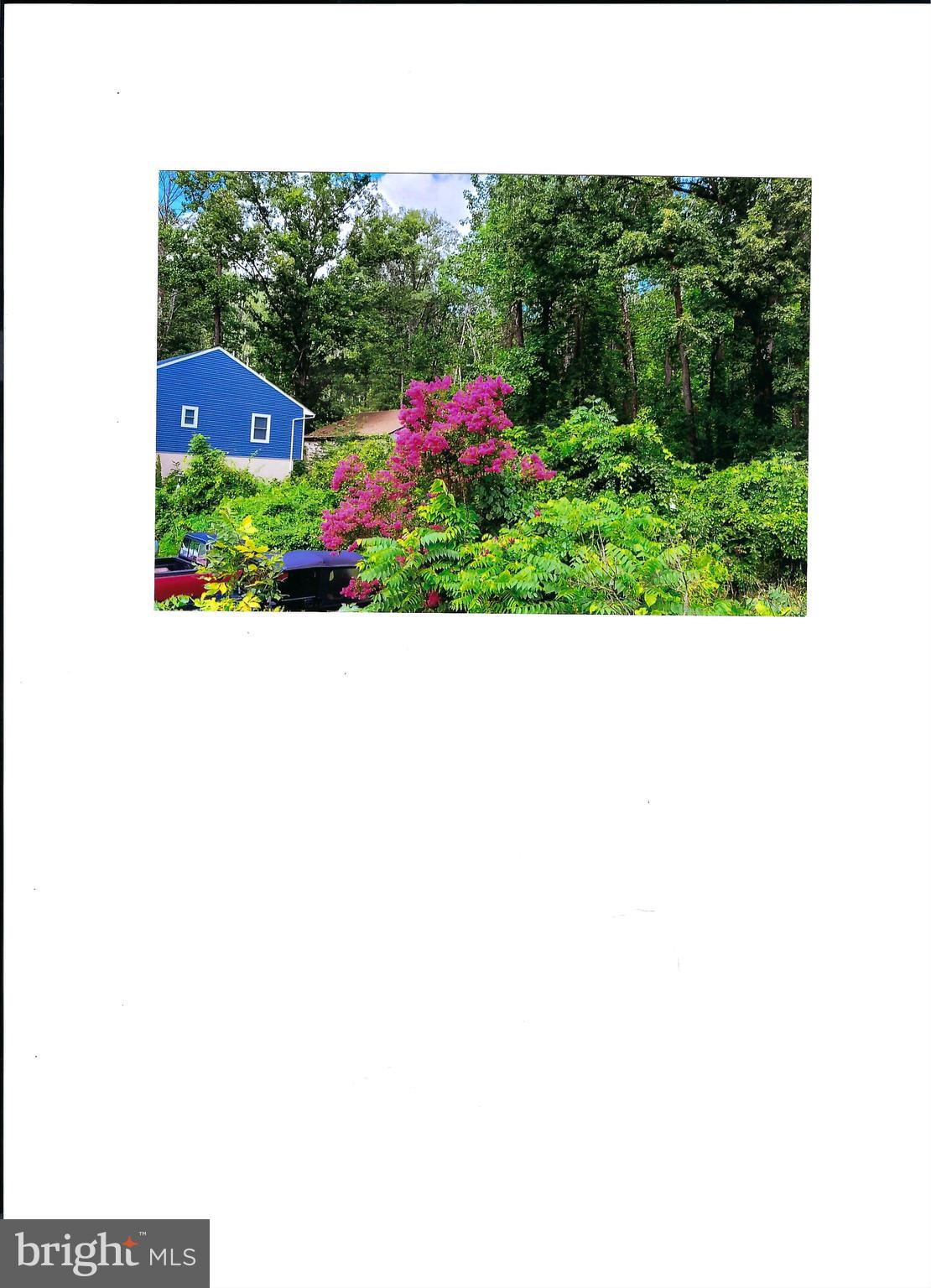 1556 River Road Titusville, NJ 08560 - Photo 36 of 38 Spring/summer time