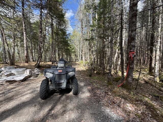 Lot12-part Indian Trail Road East Machias, ME 04630 - Photo 32 of 34 IMG_9907
