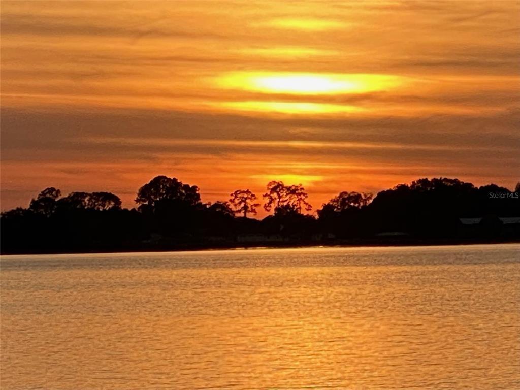 7051 Sadler Road Mount Dora, FL 32757 - Photo 59 of 60