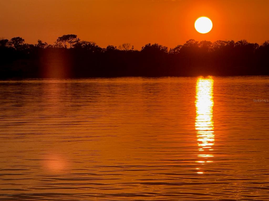 7051 Sadler Road Mount Dora, FL 32757 - Photo 60 of 60