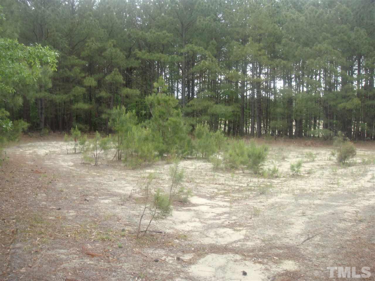 7833 Huff Farm Road, Unit 7813 HUFF FARM ROAD Willow Spring, NC 27592 - Photo 3 of 9 Gallery Image 3