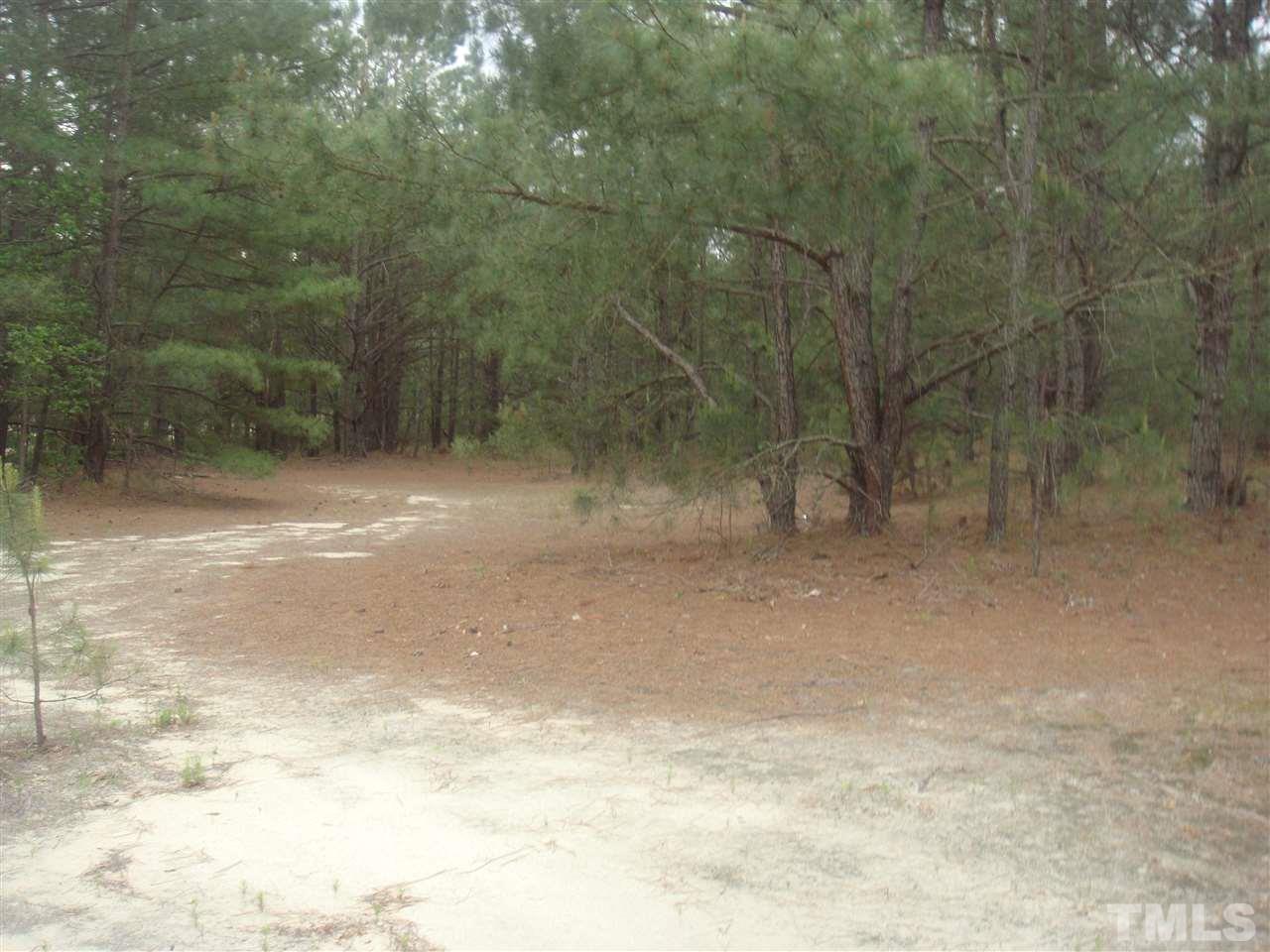 7833 Huff Farm Road, Unit 7813 HUFF FARM ROAD Willow Spring, NC 27592 - Photo 4 of 9 Gallery Image 4