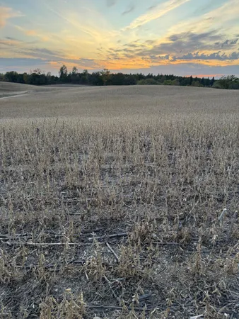 $42,000 | Tbd Placid Drive, Dent, MN 56528