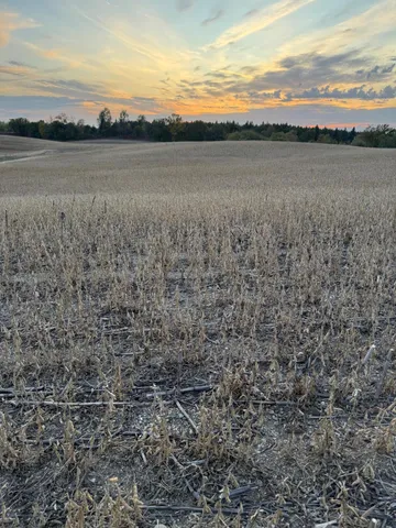 $42,000 | Tbd Placid Drive, Dent, MN 56528