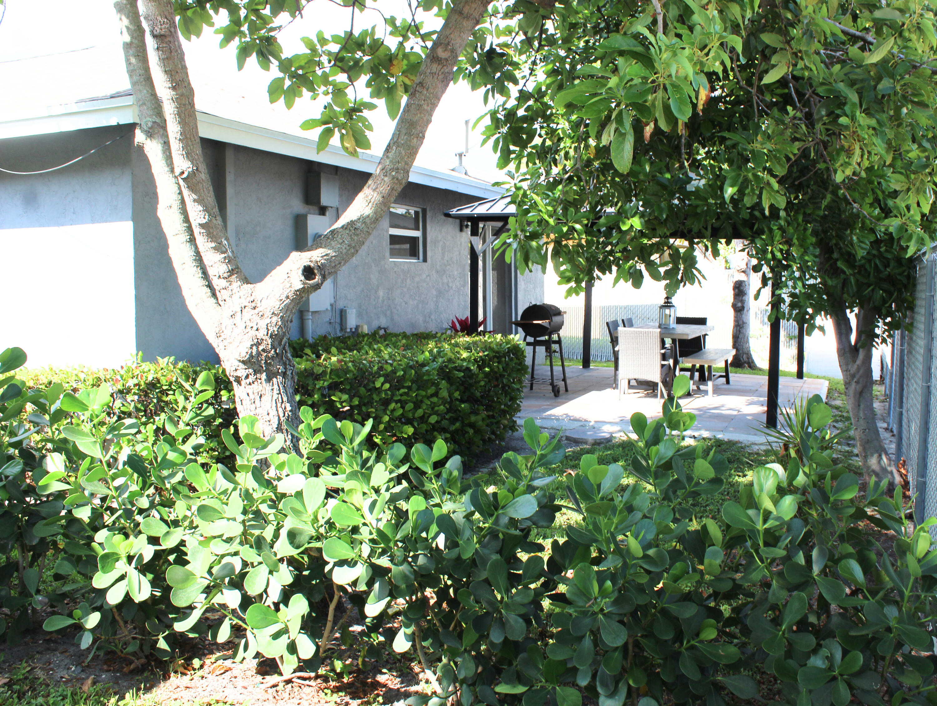 520 backyard7