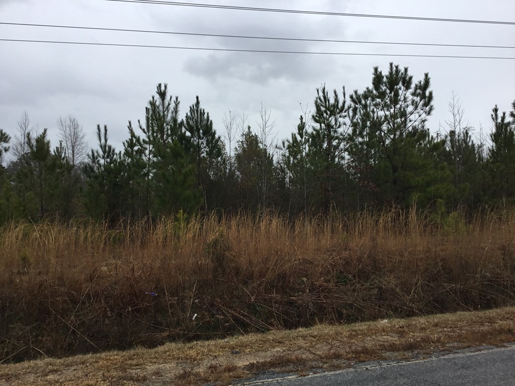 0 Cimmaron Road Rembert, SC 29128 - Photo 4 of 5