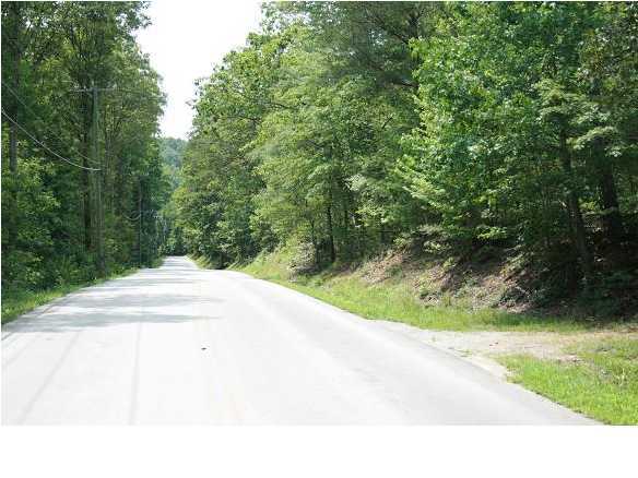 0 Standifer Gap Road, Unit 1 Chattanooga, TN 37421 - Photo 1 of 2 Primary Photo