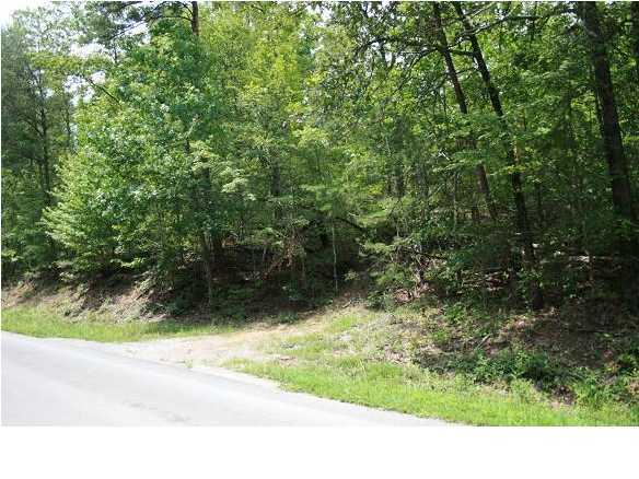 0 Standifer Gap Road, Unit 1 Chattanooga, TN 37421 - Photo 2 of 2 Additional Photo