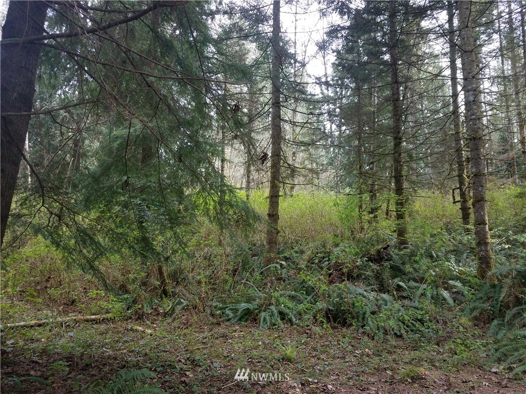 8519 East Lake Cochran Road Monroe, WA 98272 - Photo 2 of 7 Gallery Image 2