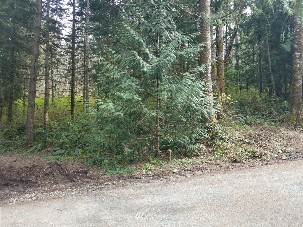 8519 East Lake Cochran Road Monroe, WA 98272 - Photo 3 of 7 Gallery Image 3