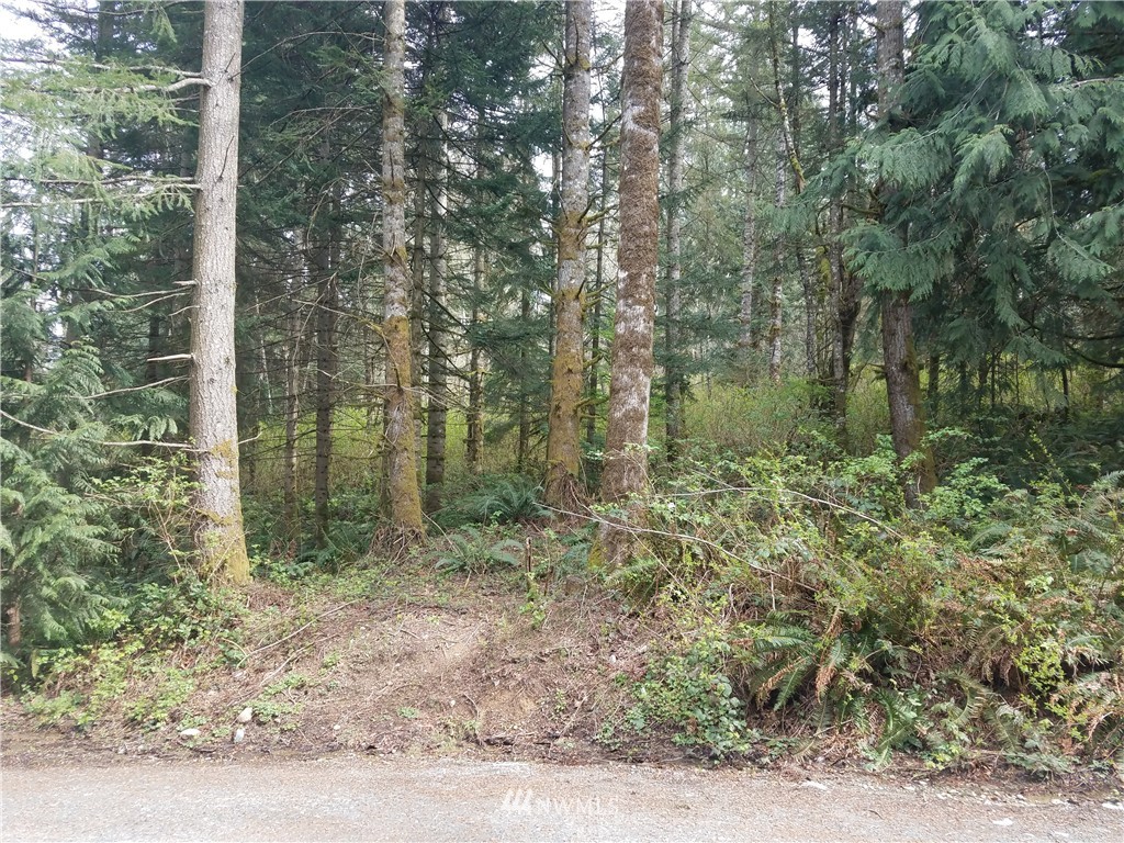 8519 East Lake Cochran Road Monroe, WA 98272 - Photo 4 of 7 Gallery Image 4