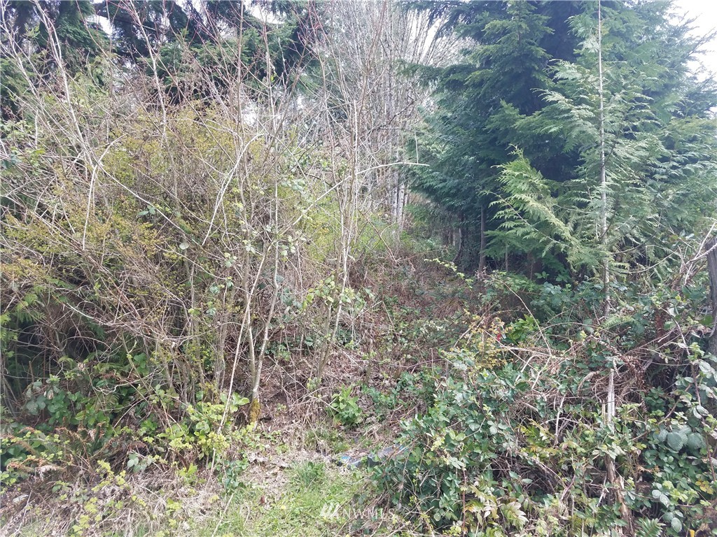 8519 East Lake Cochran Road Monroe, WA 98272 - Photo 5 of 7 Gallery Image 5