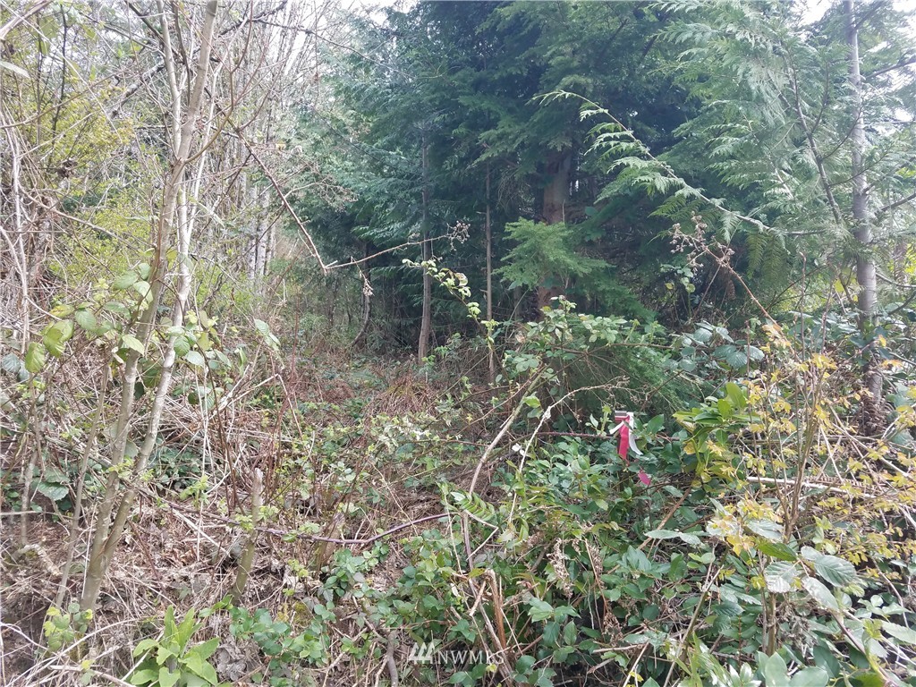 8519 East Lake Cochran Road Monroe, WA 98272 - Photo 6 of 7 Gallery Image 6