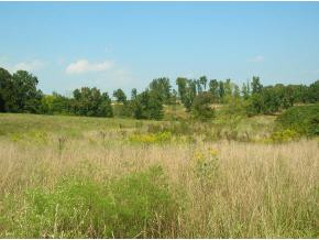 Lot 5 Buckingham Road Johnson City, TN 37615 - Photo 3 of 7 Photo 3