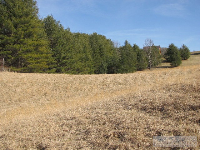 Cooper Cove Road Crumpler, NC 28617 - Photo 2 of 11 Gallery Image 2