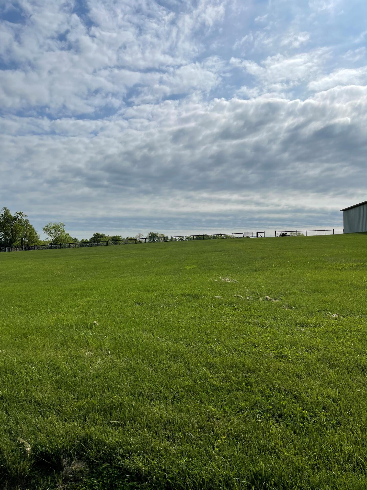6380 Ware Road Paris, KY 40361 - Photo 12 of 13 image014