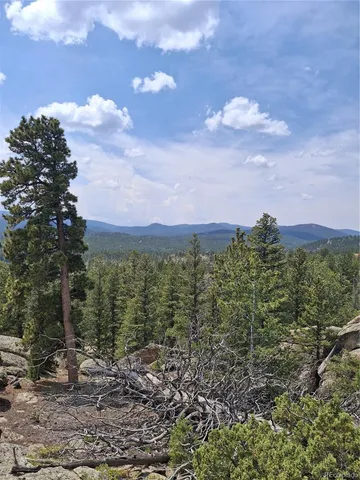 a view of a city with lush green forest