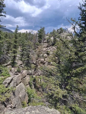 a view of a bunch of trees and a building