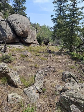a view of a dry yard with wooden fence